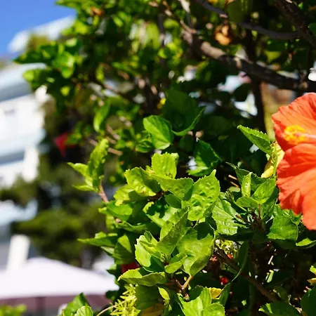 아파트 Coral La Quinta Park *