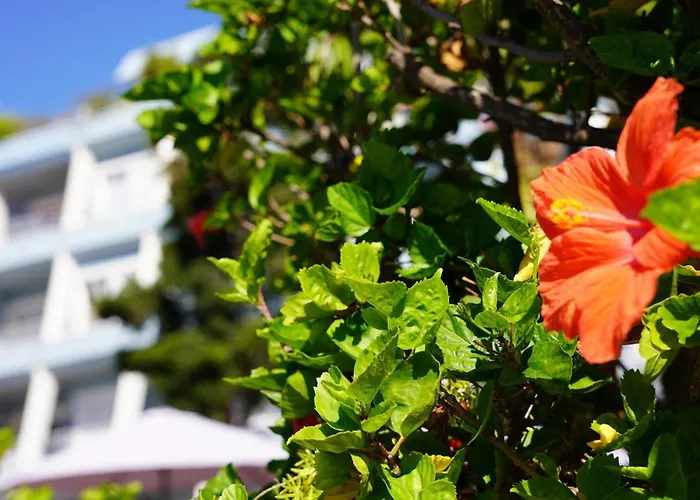 公寓 Coral La Quinta Park *
